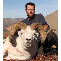 10 DAY ALASKAN DALL SHEEP HUNTING ADVENTURE FOR 1 HUNTER PLUS TAXIDERMY CREDIT