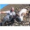 Image 4 : 10 DAY ALASKAN DALL SHEEP HUNTING ADVENTURE FOR 1 HUNTER PLUS TAXIDERMY CREDIT