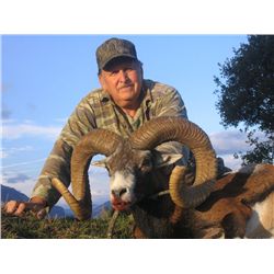 6 DAY MOUFLON SHEEP HUNT IN MACEDONIA FOR 1 HUNTER AND 1 NON-HUNTER