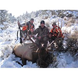 6 DAY ELK & DEER HUNT IN MONTANA