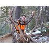 Image 3 : 6 DAY ELK & DEER HUNT IN MONTANA