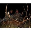 Image 5 : 6 DAY ELK & DEER HUNT IN MONTANA