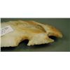 Image 3 : Corner tang Arrowhead Excellent condition. Native  etc.