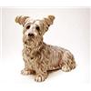 Image 1 : KERAMOS Wien / Hund
