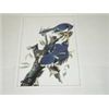 Image 1 : Set of 4 Lithographs