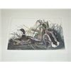 Image 2 : Set of 4 Lithographs