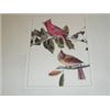 Image 3 : Set of 4 Lithographs