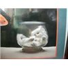 Image 2 : CUTE  FRAMED KITTY POSTER UNDER GLASS