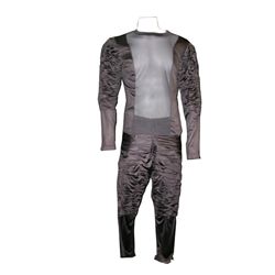 Mirror Mirror Guard's Hero Costume