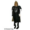 Image 1 : Mirror Mirror Guard's Hero Armor