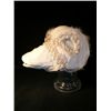 Image 4 : Mirror Mirror Duck Bill Hat