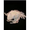 Image 5 : Mirror Mirror Bird Headpiece
