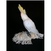 Image 2 : Mirror Mirror Parrot on Cushion