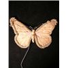 Image 1 : Mirror Mirror Butterfly Décor