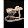 Image 4 : Mirror Mirror Baroque Gull Winged Hat