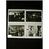 Image 2 : Stranger Than Paradise