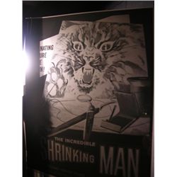 The Incredible Shrinking Man  Negative