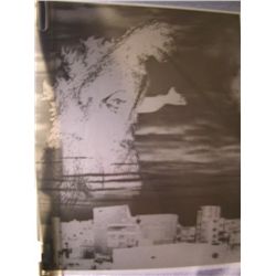 Godzilla  Negative