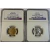 Image 1 : 1919D-1920 Buffalo nickel NGC XF and VF cleaned