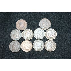 Indian Head Penny, Various Dates & Conditions, Lot of 10