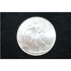 2002 Silver Eagle $1