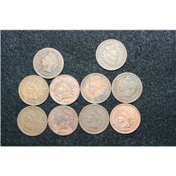 Indian Head Penny, Various Dates & Conditions, Lot of 10
