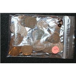 Indian Head Penny, Various Dates & Conditions, Lot of 50