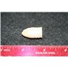 Image 1 : Civil War Bullet