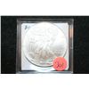 Image 1 : 2010 Silver Eagle $1