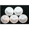 Image 1 : 2008 Silver Eagle $1, Lot of 5