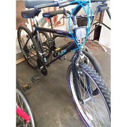 Nordic Track 26  Boy's Bike
