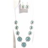 Image 1 : Zuni Turquoise Needlepoint Leaf Sterling Silver Necklace & Earrings Set - Frances Eustace
