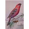 Lot 030_: "M.E. Eaton" Watercolor, Ca 1920 - "Pine Grosbeak"
