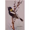 Lot 031_: "M.E. Eaton" Watercolor, Ca 1920 - "Boblink"