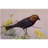 Lot 033_: "M.E. Eaton" Watercolor, Ca 1920 - "Cow Bird"