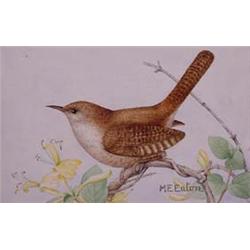 Lot 034_:  M.E. Eaton  Watercolor, Ca 1920 -  House Wren 