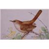 Lot 034_: "M.E. Eaton" Watercolor, Ca 1920 - "House Wren"
