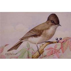 Lot 037_: "M.E. Eaton" Watercolor, Ca 1920 - "Phoebe"