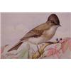 Lot 037_: "M.E. Eaton" Watercolor, Ca 1920 - "Phoebe"