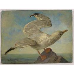 Lot 038_: "Hintermeister" Signed O/C - Gull