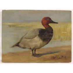 Lot 039_: "G. Muss Arnolt" Signed O/C - Redhead Duck
