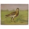 Image 1 : Lot 040_: "G. Muss Arnolt" Signed O/C - American Golden Plover"