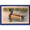 Lot 048_: "Series No. 4" Advertising Cards from "Church & Bros."