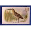 Lot 049_: "Series A" Advertising Cards from "Dwights Soda"