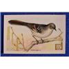 Lot 050_: "Second Series" & First Series Advertising Cards from "Dwights Soda"