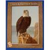 Lot 053_: 12 "Arm & Hammer Soda" Bald Eagle Posters