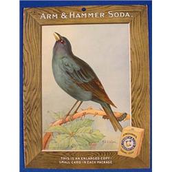 Lot 054_: "Arm & Hammer Soda Indigo Bunting Poster, Ca. 1915