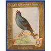 Lot 054_: "Arm & Hammer Soda Indigo Bunting Poster, Ca. 1915