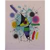 Image 1 : Lot 102_: "Miro" Signed Litho - Vol 1