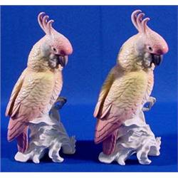 Lot 128_: Pair of Volkstedt Ens German Porcelain Parrots